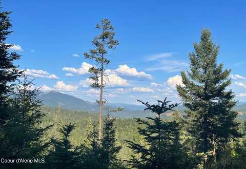 Nka Ridgeview Drive W2, Saint Maries, ID 83861