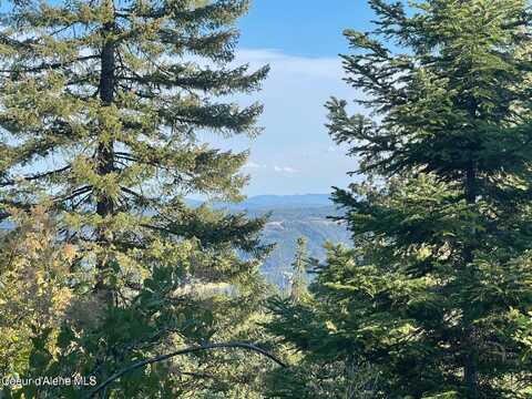 Nka Ridgeview Drive E2, Saint Maries, ID 83861