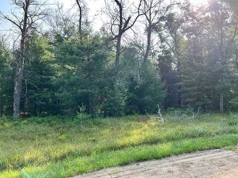 10 Acres Hughes, Harrison, MI 48625