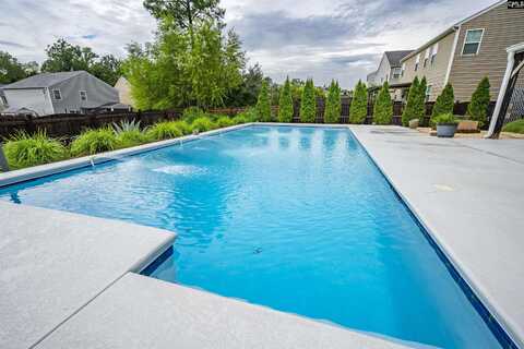 552 Eagles Rest Drive, Chapin, SC 29036