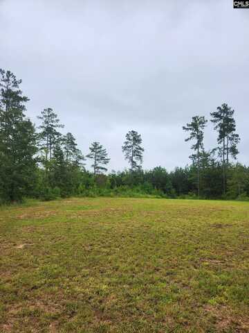 203 Legend Drive, Saluda, SC 29138