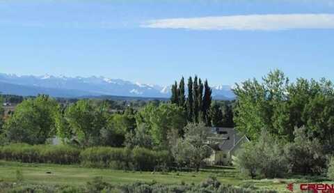 Lot 23 Eagle Heights, Montrose, CO 81401