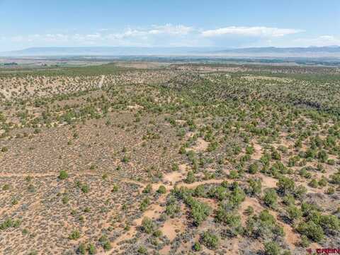 59851 Sagebrush Trail, Montrose, CO 81403