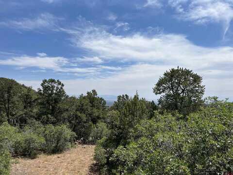 TBD High Park Road, Cedaredge, CO 81413