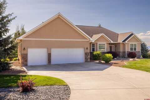 2250 Hill Street, Montrose, CO 81401