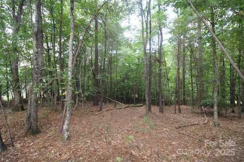 Lake Wylie Drive lot: 1, Rock Hill, SC 29732