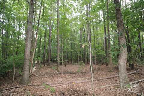 Lake Wylie Drive lot: 4, Rock Hill, SC 29732
