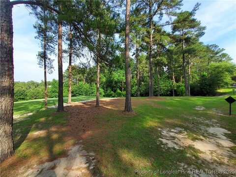 Caddie Court, Wagram, NC 28396