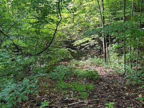 Lot 50 Grand View Estates, Whittier, NC 28789