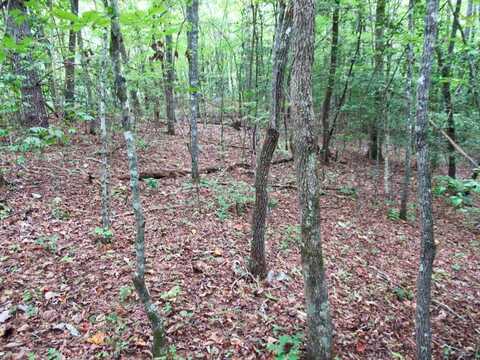 Mountain Circle, Franklin, NC 28734