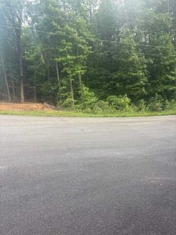 5094 Gwendolyn Court, Acworth, GA 30101