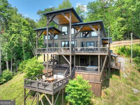 146 Hickory Nut, Cherry Log, GA 30522