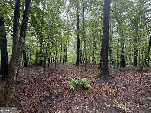 0 Hammond, Toccoa, GA 30577
