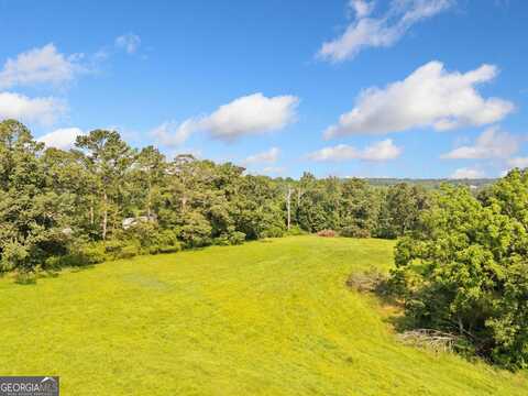 187 Long, Ball Ground, GA 30107