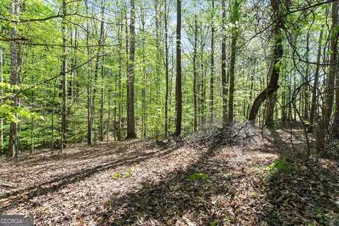 121 Hewett, Pendergrass, GA 30567