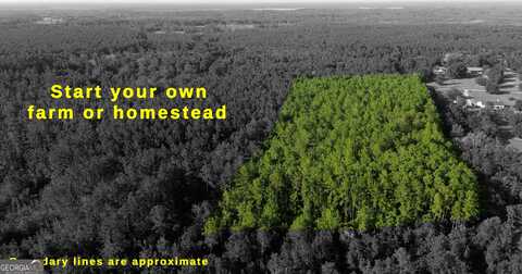 1062 Waverly Farms, Waverly, GA 31565