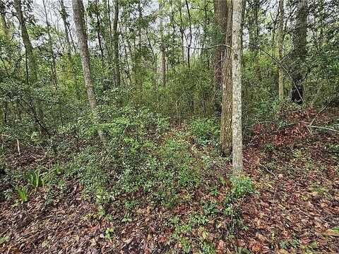 608 Riverplace Road, Waverly, GA 31565
