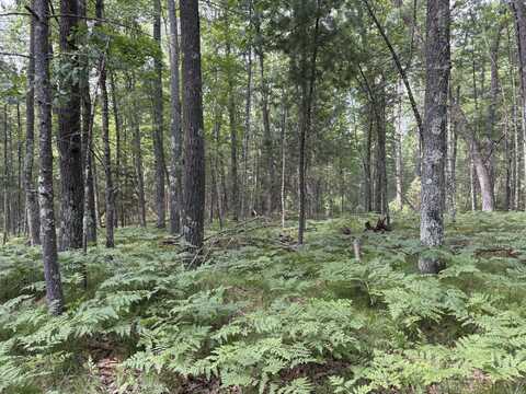 Off PINE SHORE LN, Saint Germain, WI 54558