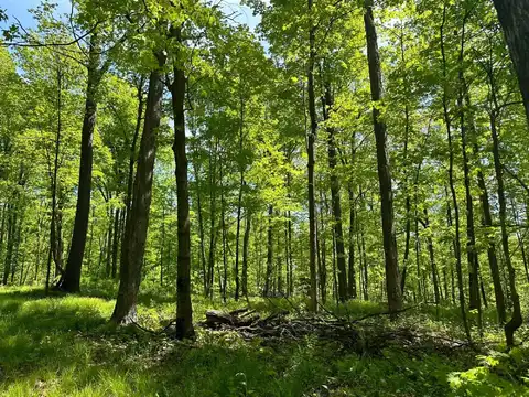 100ac On 28TH AVE N, Merrill, WI 54452