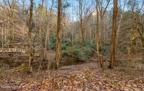 Lot 0018 Cool Creek Road, Sevierville, TN 37876
