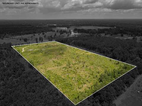 00 Horseshoe Ln., Petal, MS 39465