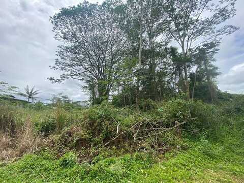 PARADISE CT, Kurtistown, HI 96760