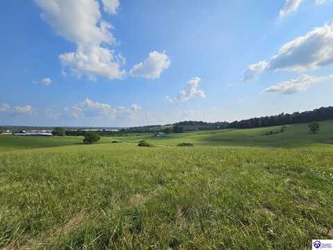Tract 11 Troutman Lane, Clarkson, KY 42726