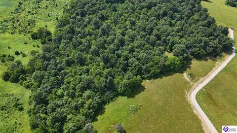 Tract 5 Troutman Lane, Clarkson, KY 42726