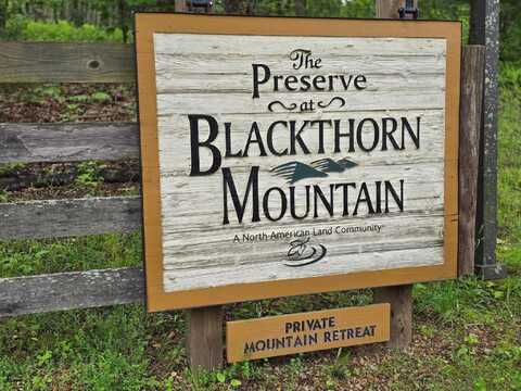 Lot 27 NATIVE TROUT LN, SUGAR GROVE, WV 26815