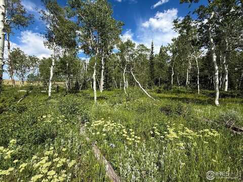 0 Dewclaw Rd, Red Feather Lakes, CO 80545