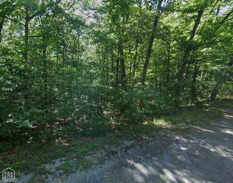 12 Mena Drive, Cherokee Village, AR 72529