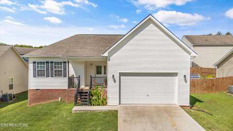 1817 River Poppy Rd, Mascot, TN 37806