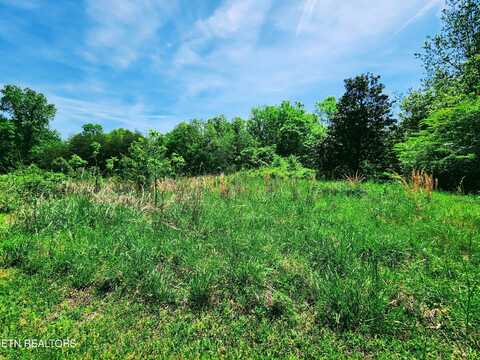 Melea Lane, Kingston, TN 37763