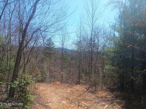 255 Copperhead Rd, Oakdale, TN 37829