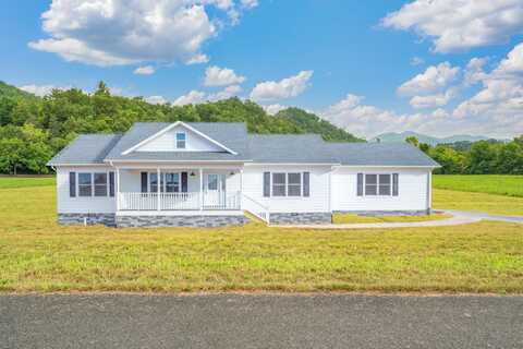 680 Kaylees Loop, Del Rio, TN 37727