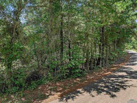 Tbd W County Road 1115, Kilgore, TX 75662