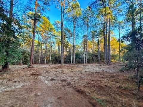 PID# 34570 Sago Court, Brookeland, TX 75931
