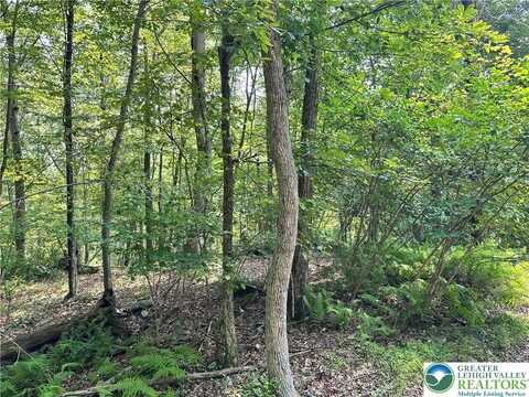 St Moritz Court unit: 3F, Price Twp, PA 18332