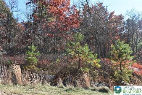 Buck Mountain Boulevard, Luzerne, PA 18202