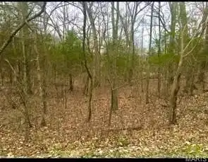 3076 Jackson Drive, Hillsboro, MO 63050