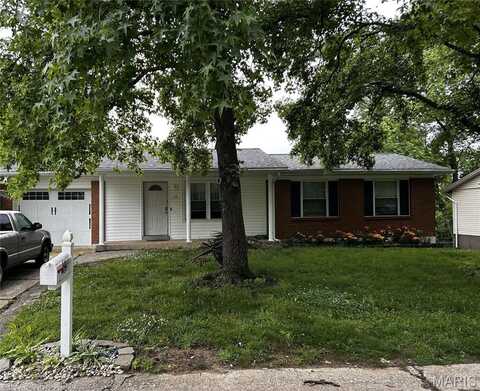 13 Riverbluff Drive, Crystal City, MO 63019