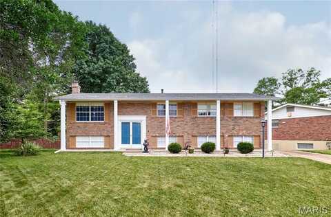 11258 Gravois Road, Saint Louis, MO 63126