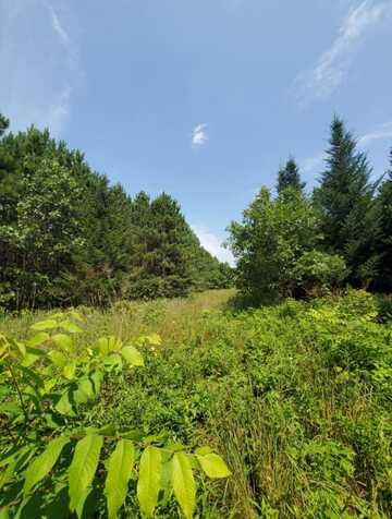 Lt0 Town Hall Rd, Wisconsin Dells, WI 53965