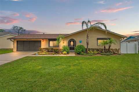 14207 PAYNE STREET, SPRING HILL, FL 34609