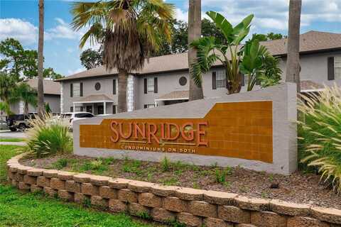 5020 SUNRIDGE PALMS DRIVE, TAMPA, FL 33617