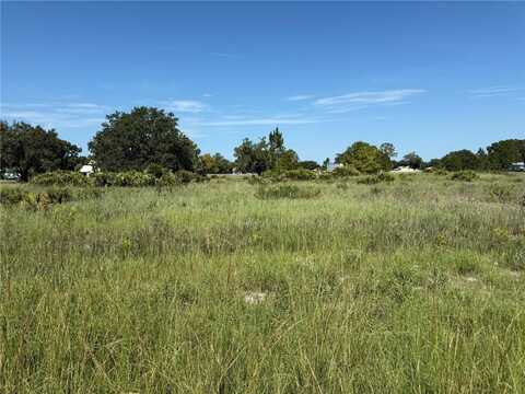 600 S DICKEY ROAD, AVON PARK, FL 33825