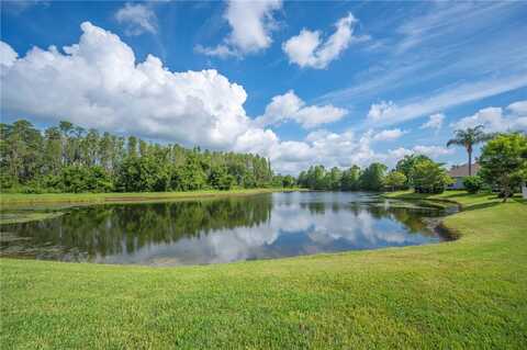 19443 EVERTON PLACE, LAND O LAKES, FL 34638