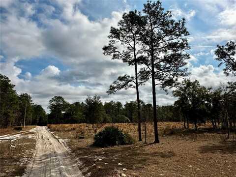 SW 93RD PLACE, DUNNELLON, FL 34432