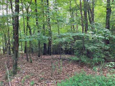 Lt 41 Floris Mountain, MURPHY, NC 28906
