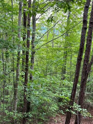 Lt 527-4 Farmers Top Drive, MURPHY, NC 28906